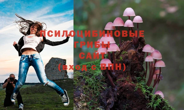 соль курить ск Лагань