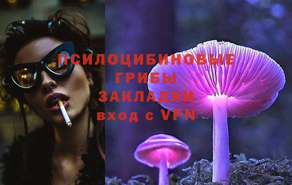 соль курить ск Лагань
