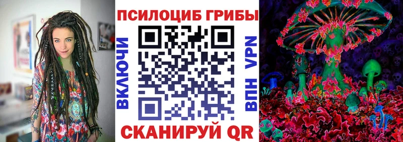 Галлюциногенные грибы Psilocybe  хочу   Чудово 